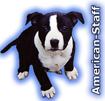 C'est un put1 de chien sa aussi